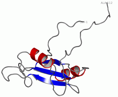 Image NMR Structure - manually