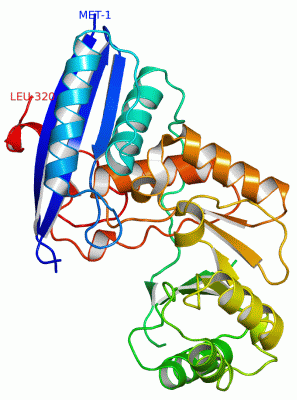 Image Asym./Biol. Unit - manually