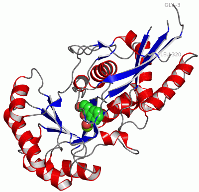 Image Asym./Biol. Unit - manually