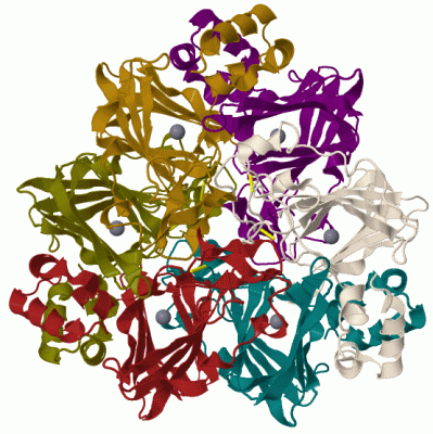 Image Biol.Unit 1 - manually