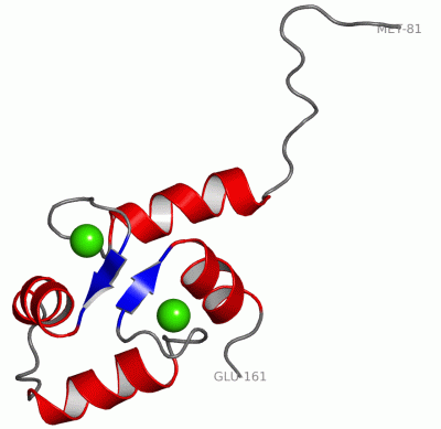 Image NMR Structure - manually