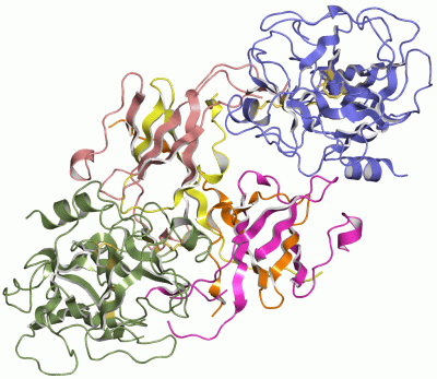 Image Asym./Biol. Unit - manually