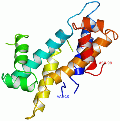 Image Asym./Biol. Unit - manually