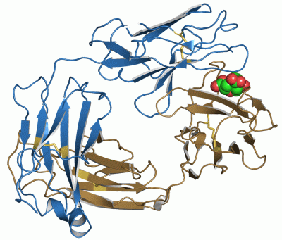 Image Asym./Biol. Unit - manually