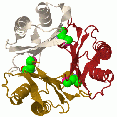 Image Biol.Unit 1 - manually
