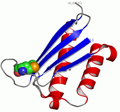 Image Asym.Unit - manually
