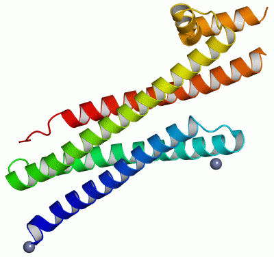 Image Asym./Biol. Unit - manually