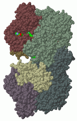 Image Biol.Unit 1 - manually