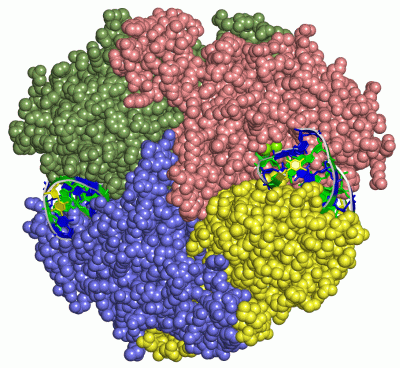 Image Asym./Biol. Unit - manually