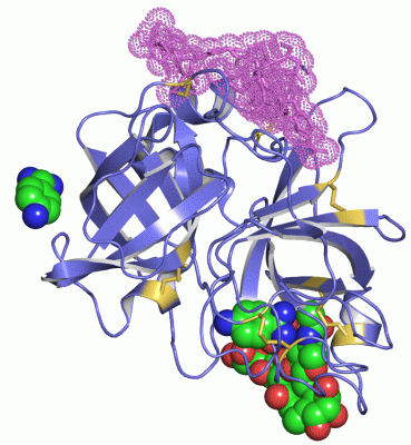 Image Asym./Biol. Unit - manually