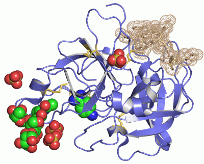 Image Asym.Unit - manually