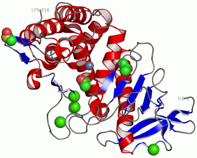 Image Asym./Biol. Unit - manually