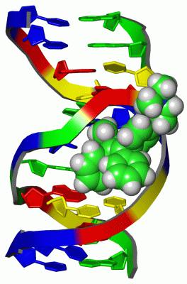 Image NMR Structure - manually