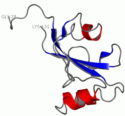 Image NMR Structure - manually