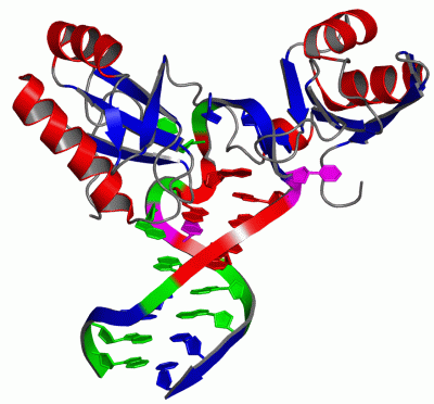 Image NMR Structure - manually