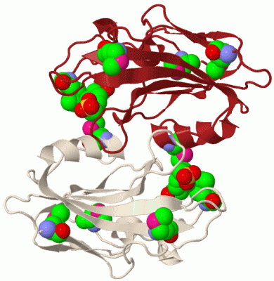 Image Biol.Unit 1 - manually