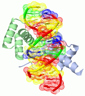 Image Biol.Unit 1 - manually