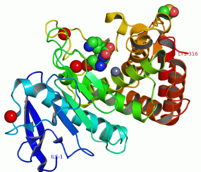 Image Asym./Biol. Unit - manually