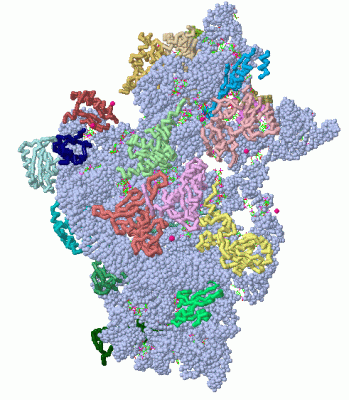 Image Asym./Biol. Unit - manually