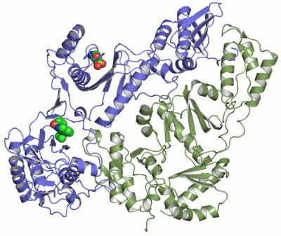 Image Asym./Biol. Unit - manually