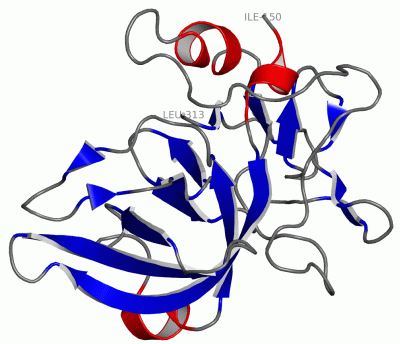 Image Asym./Biol. Unit - manually