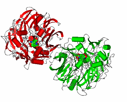 Image Asym./Biol. Unit - manually