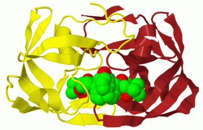 Image Biol.Unit 1 - manually
