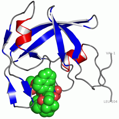 Image Asym.Unit - manually