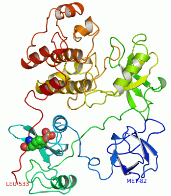 Image Asym./Biol. Unit - manually