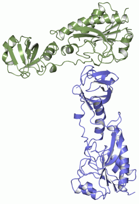 Image Asym.Unit - manually