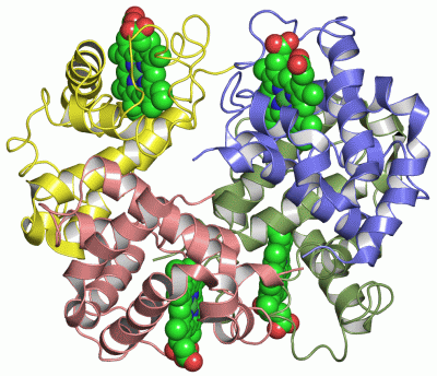 Image Asym./Biol. Unit - manually