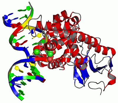 Image Asym./Biol. Unit - manually