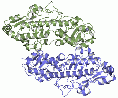 Image Asym./Biol. Unit - manually