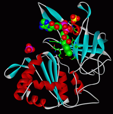 Image Asym./Biol. Unit - manually