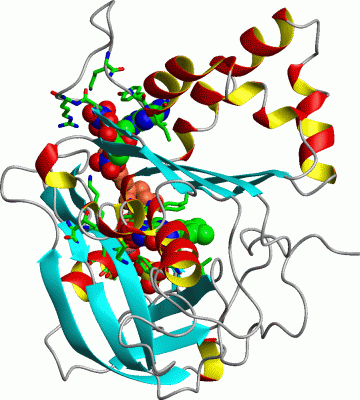 Image Asym./Biol. Unit - manually