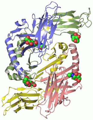 Image Asym.Unit - manually