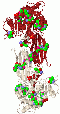 Image Biol.Unit 1 - manually