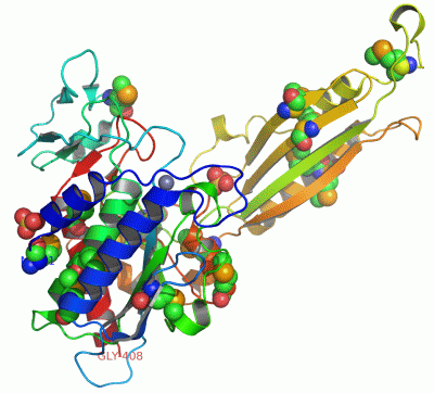 Image Asym.Unit - manually