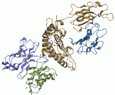 Image Asym./Biol. Unit - manually