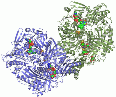 Image Asym./Biol. Unit - manually