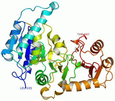 Image Asym./Biol. Unit - manually