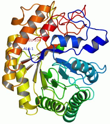 Image Asym./Biol. Unit - manually