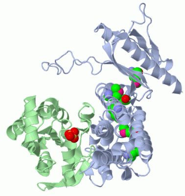 Image Biol.Unit 1 - manually