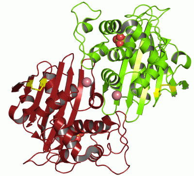 Image Asym./Biol. Unit - manually