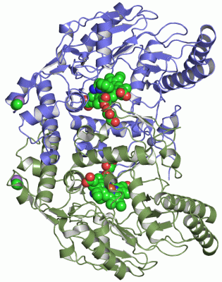 Image Asym./Biol. Unit - manually