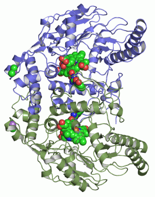 Image Asym./Biol. Unit - manually