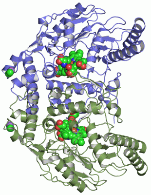 Image Asym./Biol. Unit - manually