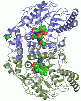 Image Asym./Biol. Unit - manually