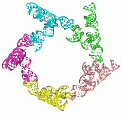 Image Asym./Biol. Unit - manually