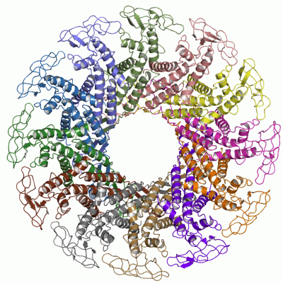 Image Asym./Biol. Unit - manually
